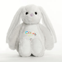 Load image into Gallery viewer, Printing Plush Stuffed Bunny Rabbit for Easter Christmas Birthday