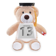 Load image into Gallery viewer, Personalized 1 Piece Graduation Stuffed Bear Belly Print