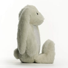 Load image into Gallery viewer, Printing Plush Stuffed Bunny Rabbit for Easter Christmas Birthday