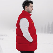Load image into Gallery viewer, All-Over Print Unisex Down Vest