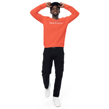 Load image into Gallery viewer, Unisex organic raglan sweatshirt
