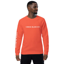 Load image into Gallery viewer, Unisex organic raglan sweatshirt