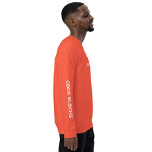 Load image into Gallery viewer, Unisex organic raglan sweatshirt