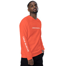 Load image into Gallery viewer, Unisex organic raglan sweatshirt