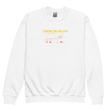 Load image into Gallery viewer, Youth crewneck sweatshirt