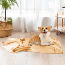 Load image into Gallery viewer, Embroidered Pets Flannel Bed Banket