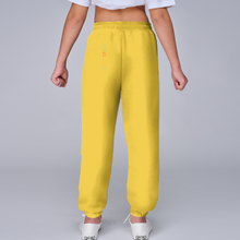 Load image into Gallery viewer, MOQ1