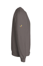 Load image into Gallery viewer, Independent Pigment Dyed Crew Neck