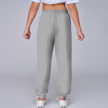 Load image into Gallery viewer, MOQ1