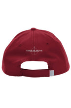 Load image into Gallery viewer, Pitch Performance Cap