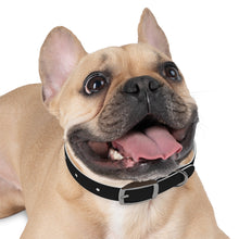 Load image into Gallery viewer, Dog Collar