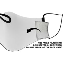Load image into Gallery viewer, mask