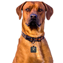 Load image into Gallery viewer, Square Pet ID Tag