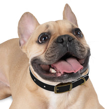 Load image into Gallery viewer, Dog Collar