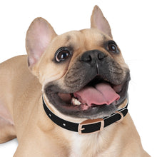 Load image into Gallery viewer, Dog Collar