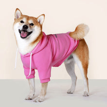 Load image into Gallery viewer, Embroidered Text for Cotton XL-6XL Dog Coat Pet Hoodie
