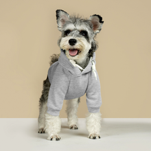 Load image into Gallery viewer, Embroidered Text for Cotton XL-6XL Dog Coat Pet Hoodie
