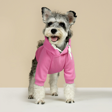 Load image into Gallery viewer, Embroidered Text for Cotton XL-6XL Dog Coat Pet Hoodie
