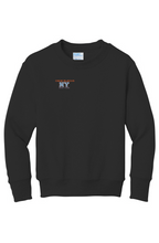 Load image into Gallery viewer, Youth Fleece Sweatshirt
