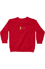 Load image into Gallery viewer, kids fleece sweatshirt
