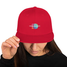 Load image into Gallery viewer, Snapback Hat
