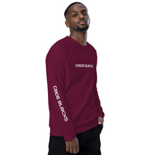 Load image into Gallery viewer, Unisex organic raglan sweatshirt
