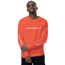 Load image into Gallery viewer, Unisex organic raglan sweatshirt
