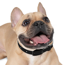 Load image into Gallery viewer, Dog Collar
